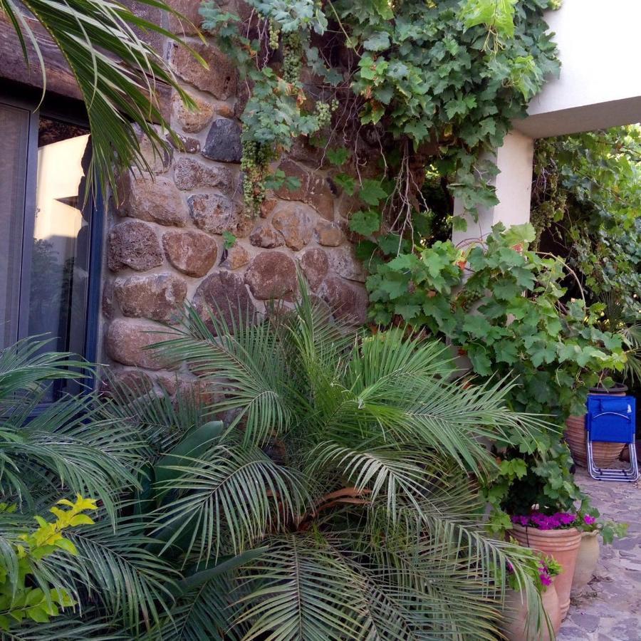 Villa Nichochot Provence Had Nes Exterior foto